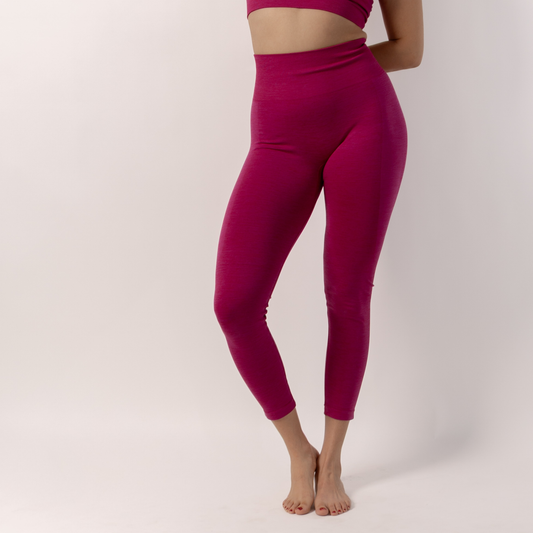 Aura Seamless Leggings